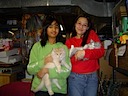 Cats in the basement