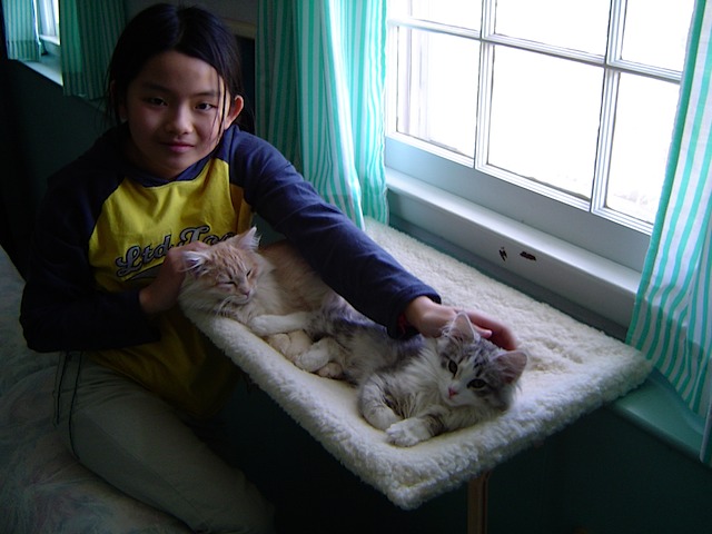 DSC00982