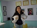 More friend and cats
