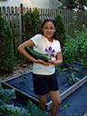 Zucchini from our garden